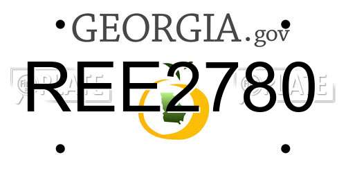REE2780 Georgia License Plate