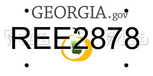 REE2878 Georgia License Plate