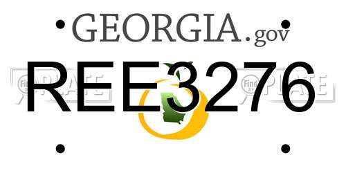 REE3276 Georgia License Plate