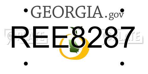 REE8287 Georgia License Plate