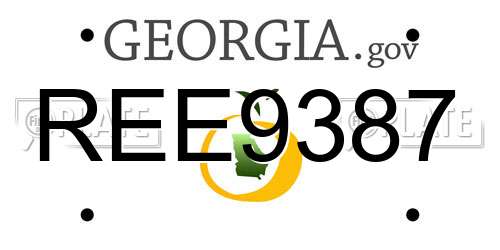 REE9387 Georgia License Plate