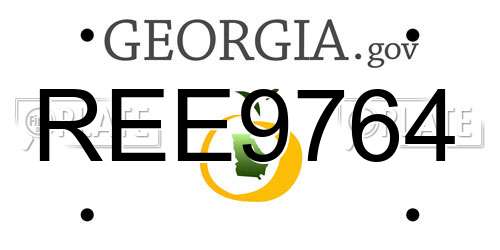 REE9764 Georgia License Plate