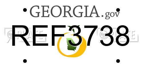 REF3738 Georgia License Plate
