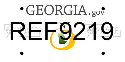REF9219 Georgia License Plate