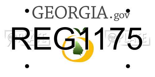 REG1175 Georgia License Plate