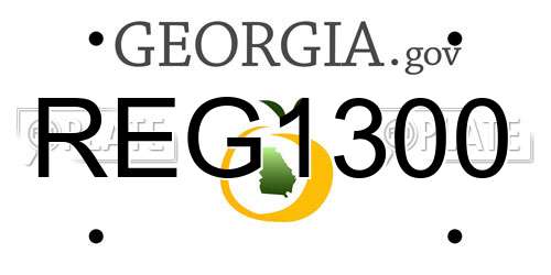 REG1300 Georgia License Plate