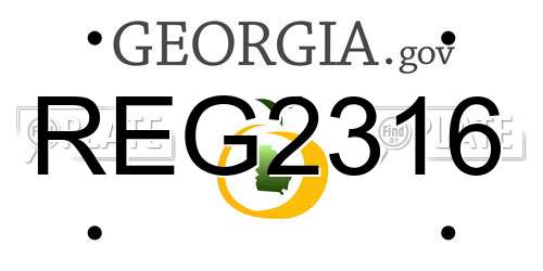 REG2316 Georgia License Plate
