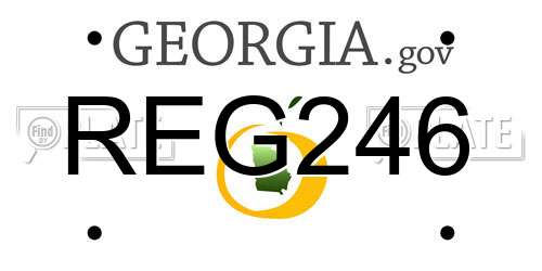 REG246 Georgia License Plate