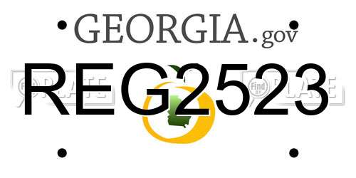 REG2523 Georgia License Plate