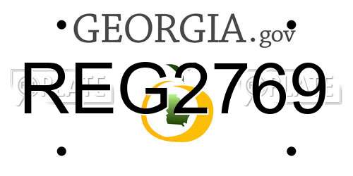 REG2769 Georgia License Plate