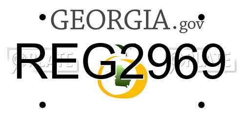 REG2969 Georgia License Plate