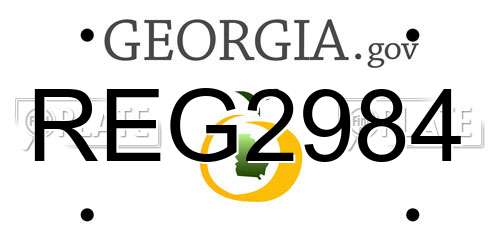 REG2984 Georgia License Plate