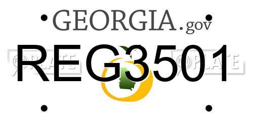 REG3501 Georgia License Plate