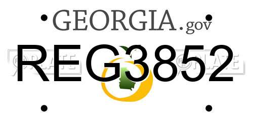 REG3852 Georgia License Plate