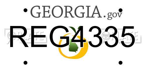 REG4335 Georgia License Plate