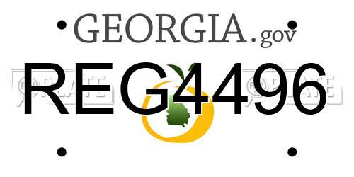 REG4496 Georgia License Plate