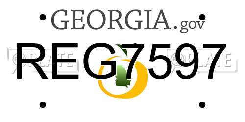 REG7597 Georgia License Plate