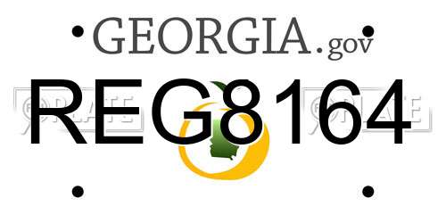 REG8164 Georgia License Plate
