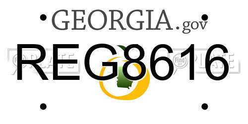REG8616 Georgia License Plate
