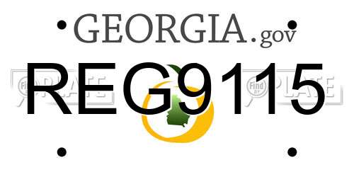 REG9115 Georgia License Plate