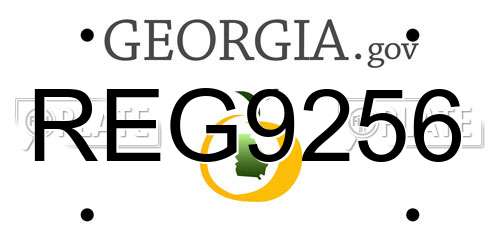 REG9256 Georgia License Plate