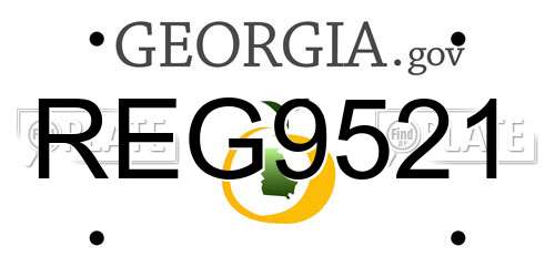 REG9521 Georgia License Plate