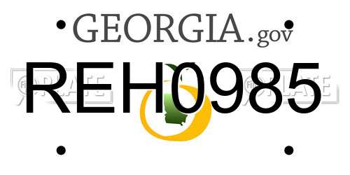 REH0985 Georgia License Plate