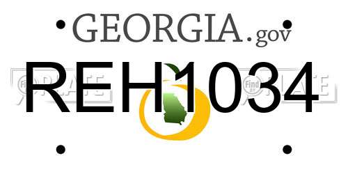 REH1034 Georgia License Plate