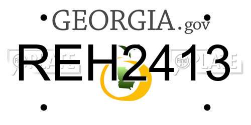 REH2413 Georgia License Plate
