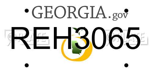 REH3065 Georgia License Plate