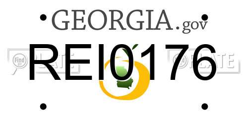 REI0176 Georgia License Plate