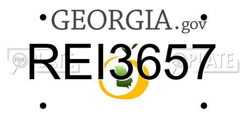 REI3657 Georgia License Plate