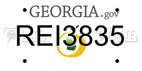 REI3835 Georgia License Plate