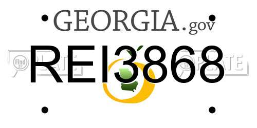 REI3868 Georgia License Plate