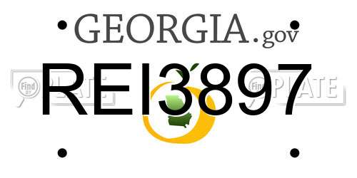 REI3897 Georgia License Plate