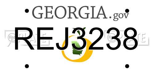REJ3238 Georgia License Plate