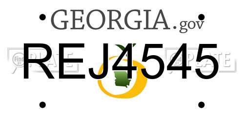 REJ4545 Georgia License Plate