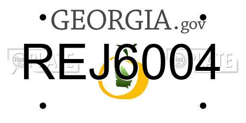 REJ6004 Georgia License Plate