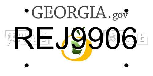 REJ9906 Georgia License Plate