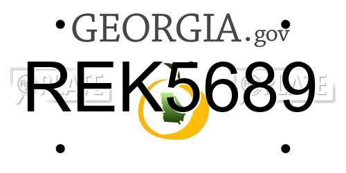 REK5689 Georgia License Plate