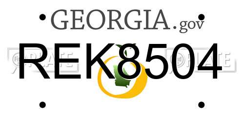 REK8504 Georgia License Plate