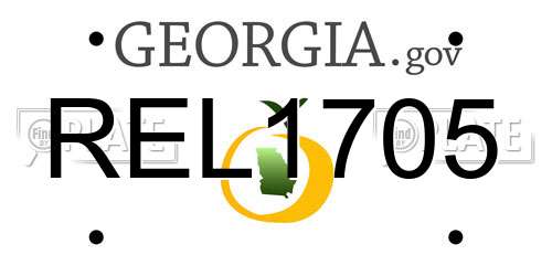 REL1705 Georgia License Plate