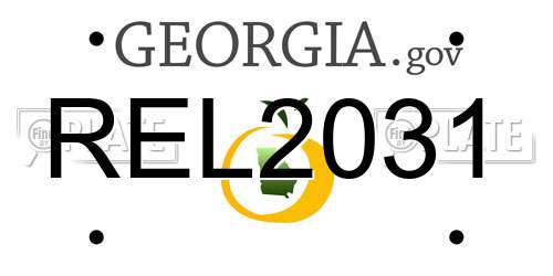 REL2031 Georgia License Plate