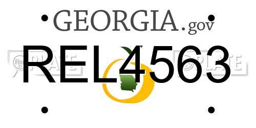 REL4563 Georgia License Plate