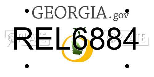 REL6884 Georgia License Plate