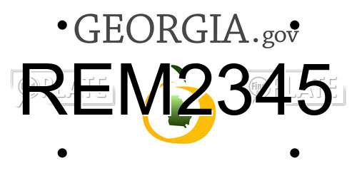 REM2345 Georgia License Plate