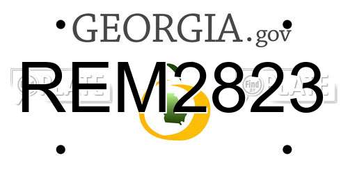 REM2823 Georgia License Plate