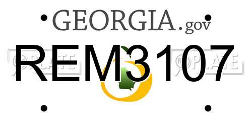 REM3107 Georgia License Plate