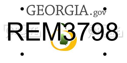 REM3798 Georgia License Plate