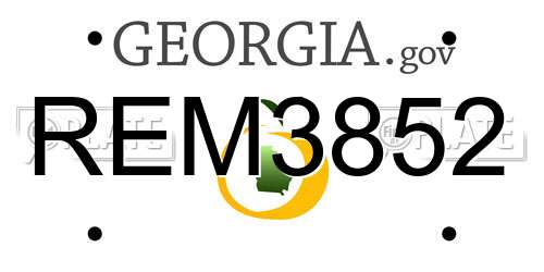 REM3852 Georgia License Plate